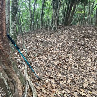 ゴミ拾った時に置いたらそのまま忘れてたので戻ってきて回収🤭