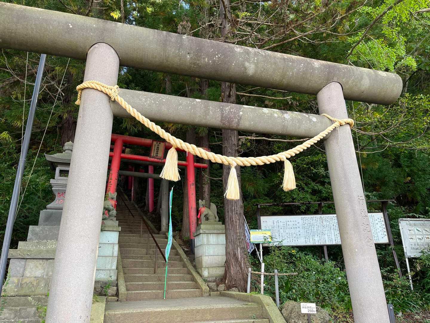 スタート地点に戻りました。
本日も楽しい山歩き、ありがとうございました。