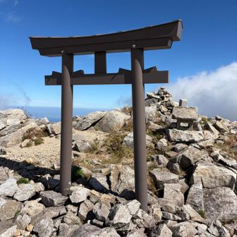 お参りしました🙏⛩️