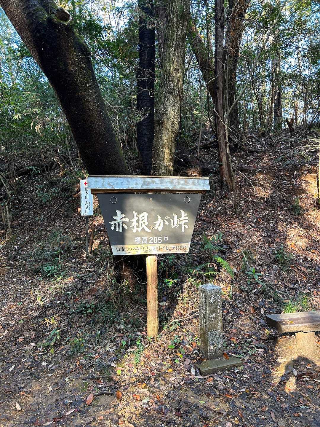 赤根が峠まできた