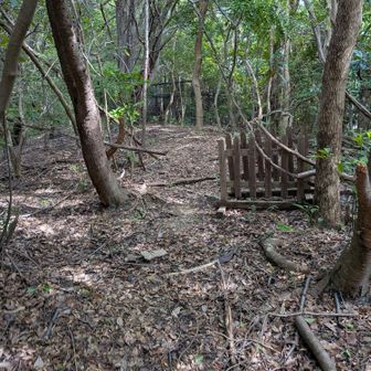 登山道の入口は開いている…