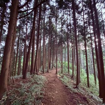 アナグマ様と合流地点で御座います