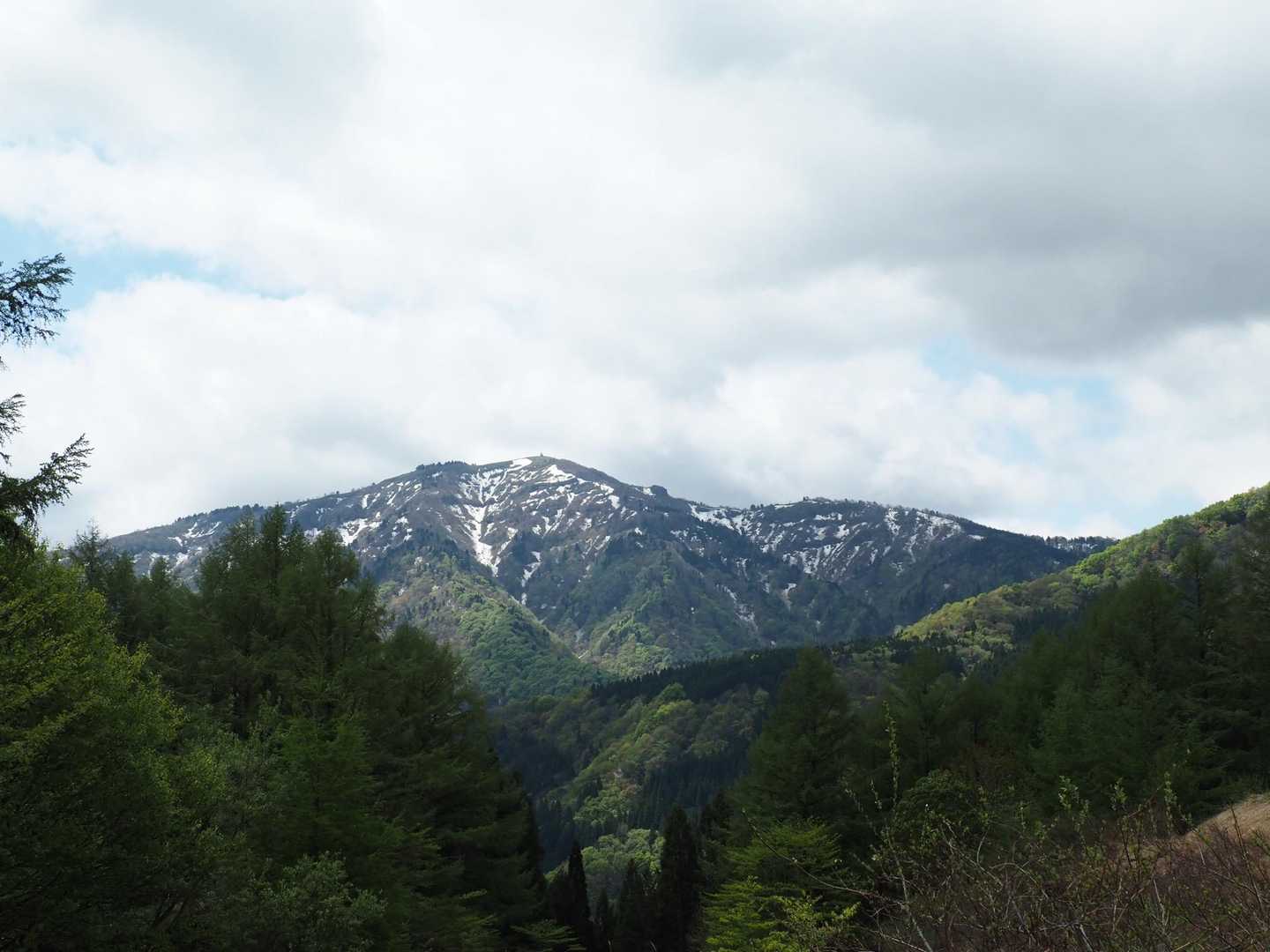 氷ノ山登山口-地蔵堂-小代越-ハチ高原バス停 縦走コースの写真