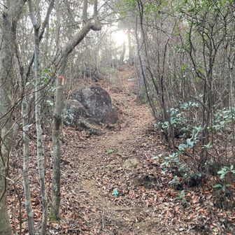 西小傘山頂まで間も無く