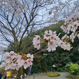 はい、今日もお疲れ様でした。


帰ってから子供はマーさんにたくさん褒めてもらいました。✨💯😆🙂

明日は、マーさんと生駒山に行ってきます。😆🎵
