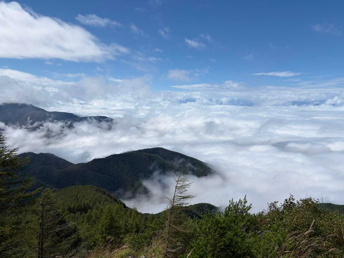桜清水登山口-王ヶ鼻-美ヶ原 周回コースの写真