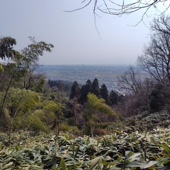 立山方面は春霞の中