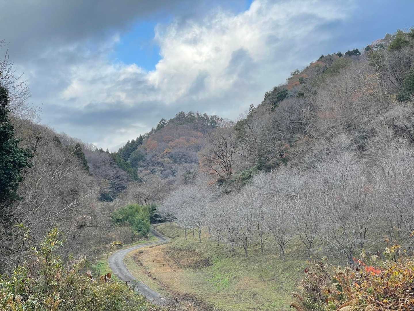 桜の樹がたくさん
この桜の樹は、豊島区から贈られたものなんだって
だからこの辺りは豊島区の森らしい