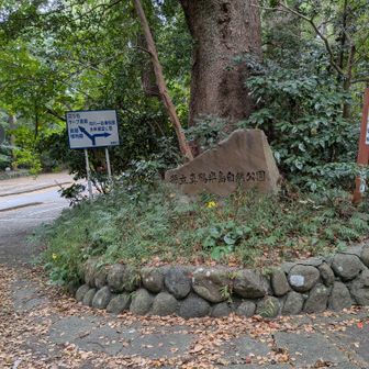 　　真鶴半島自然公園(碑)
🪨これも　モチ小松石