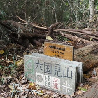 六国見山到着。眺望なし。