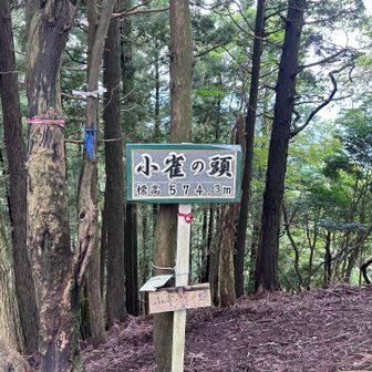 小雀の頭登頂
帰りはルートが少し不鮮明なところもあり、変なところを降りてました
すれ違った方から、沢沿いはヤツがいたと🪱
気をつけなきゃ