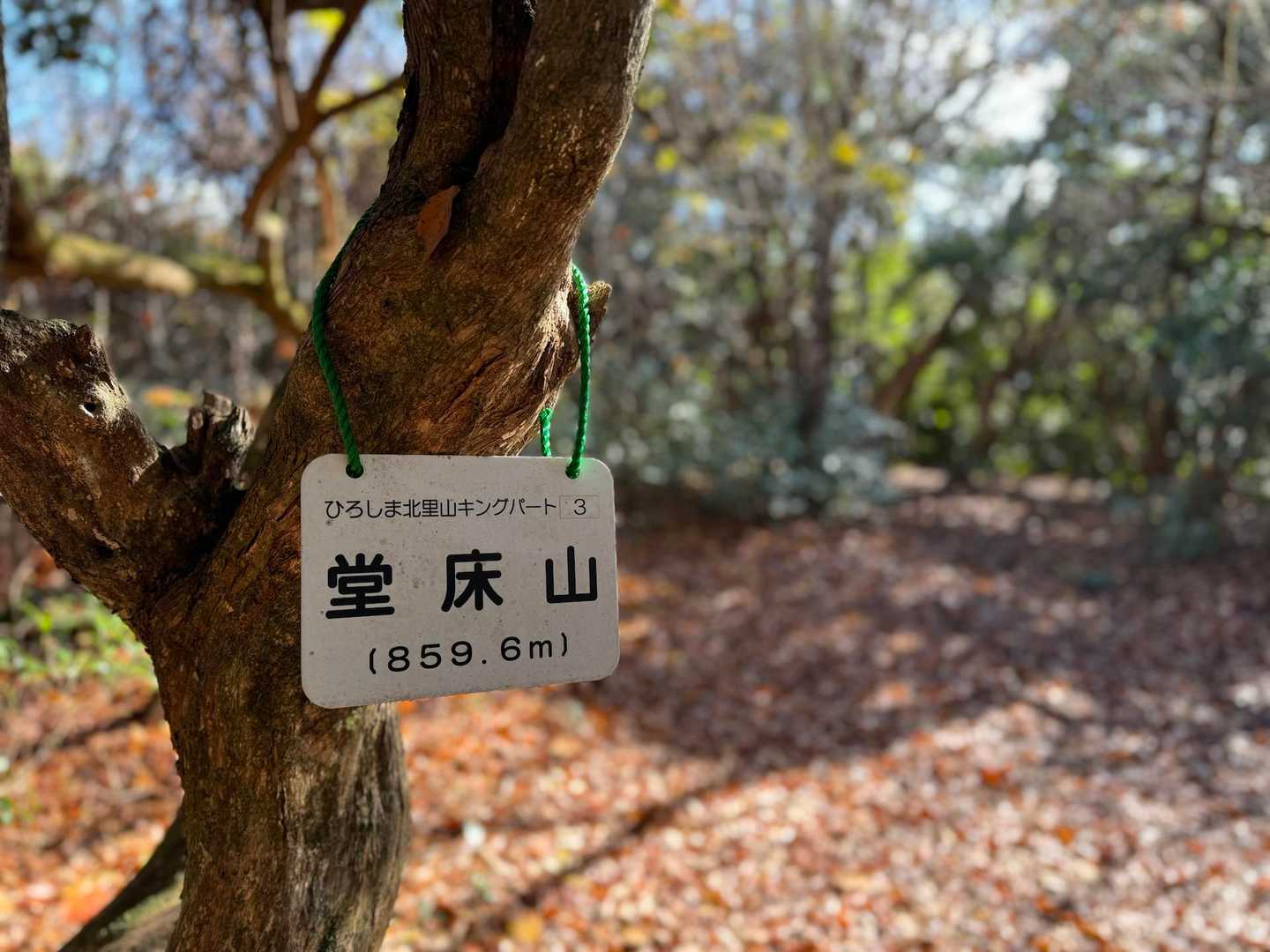 堂床山、到着しましたー🙌
眺望はないけど、広めな山頂です▲