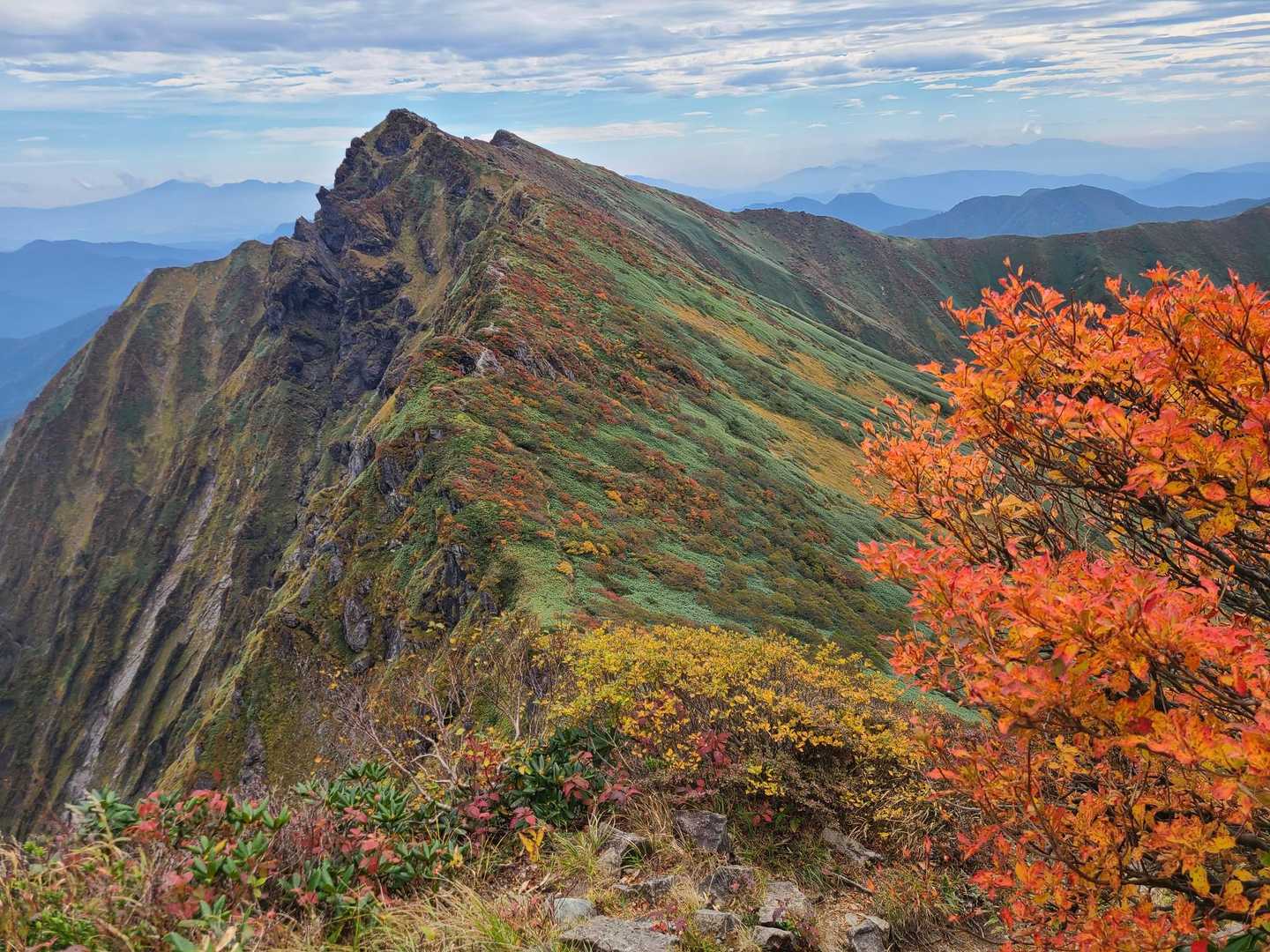 熊穴沢ノ頭-天狗の留まり場-谷川岳-一ノ倉岳 往復コースの写真