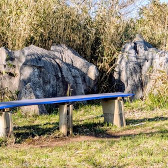 マリちゃん親子が生活していた場所、マリちゃん岩と勝手に名付けています。