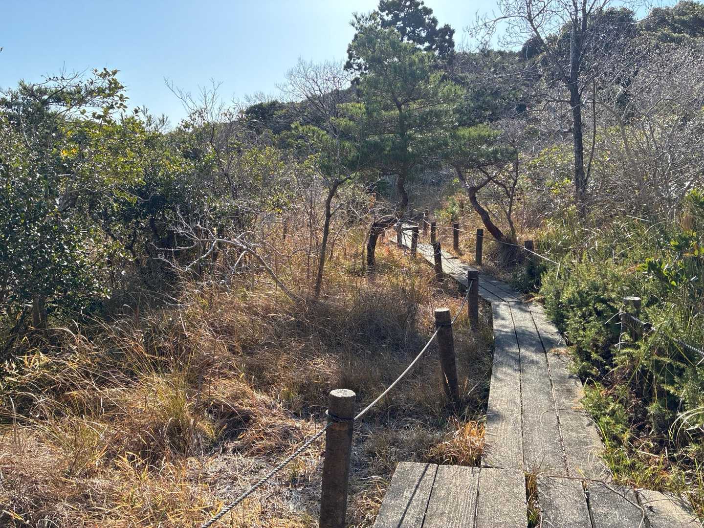 藤七原湿地を抜けて