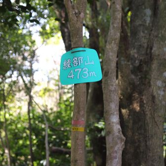 綾部山山頂
YAMAP1656座目