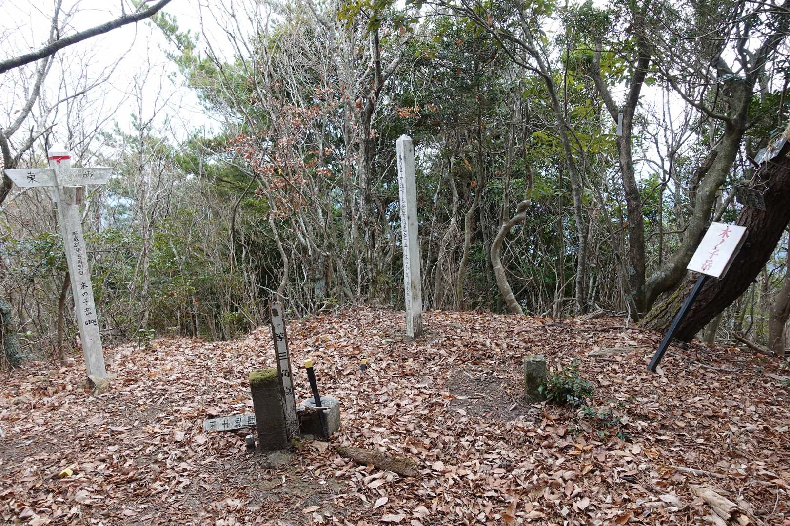 山頂は狭く、展望はありません。