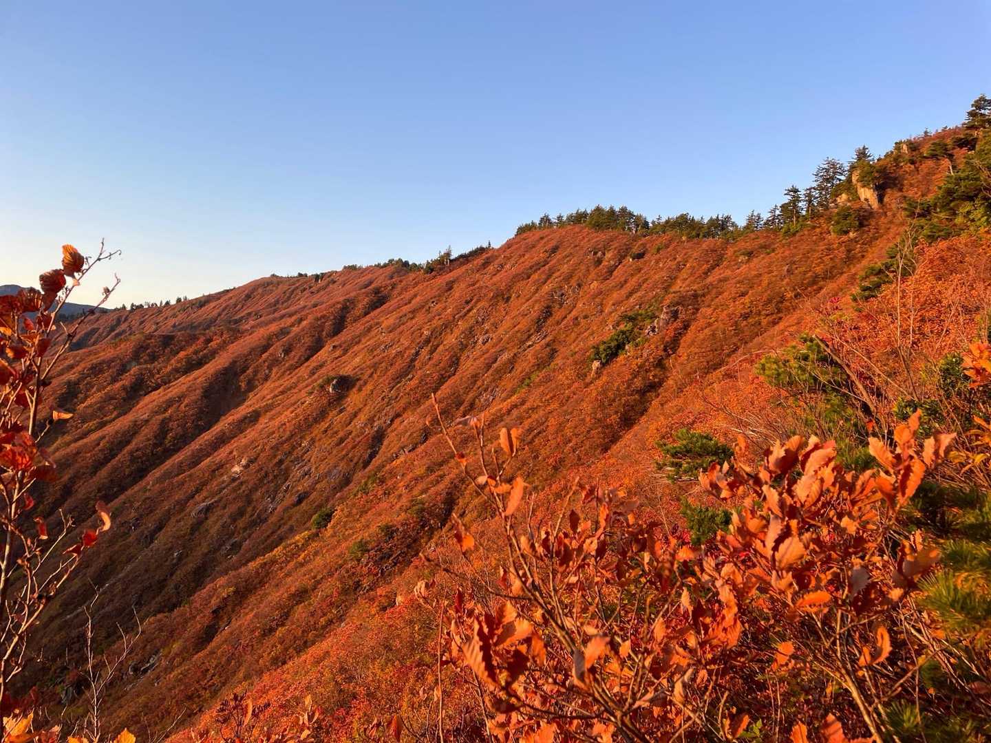 平ヶ岳登山口-台倉山-池ノ岳-平ヶ岳-玉子岩 往復コースの写真