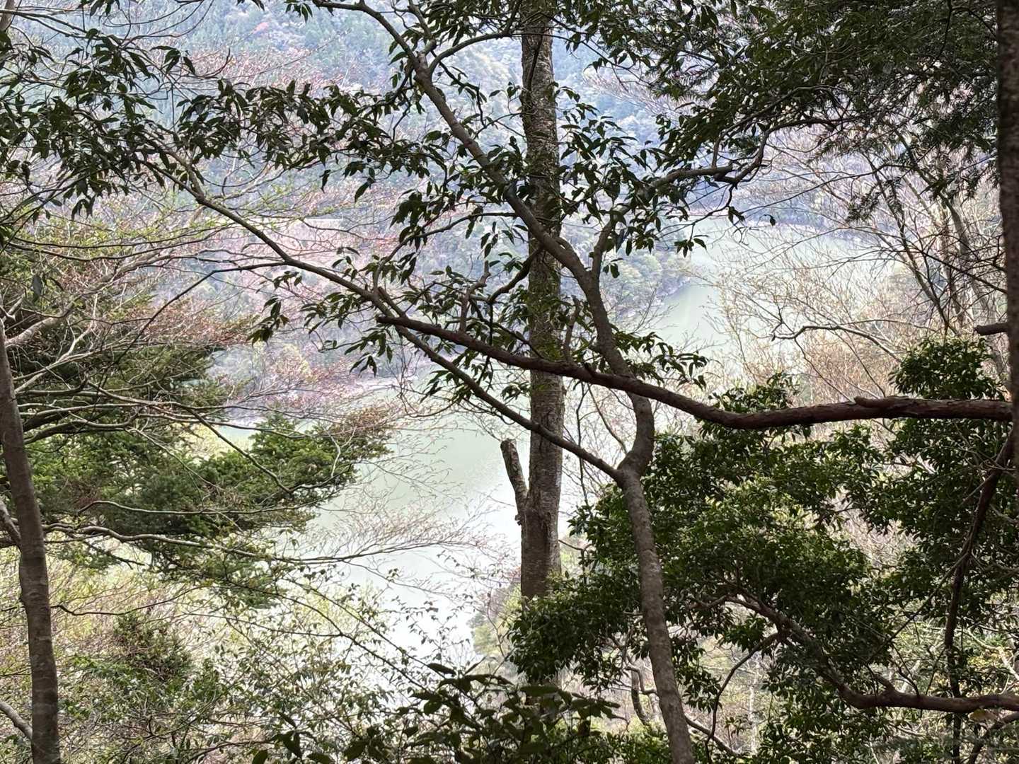 かろうじて見えるのは、茶色く濁った佐久間湖上流域の湖面かなぁ
