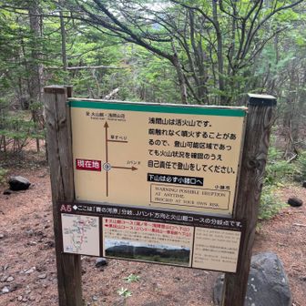 ここまで来たら、安心