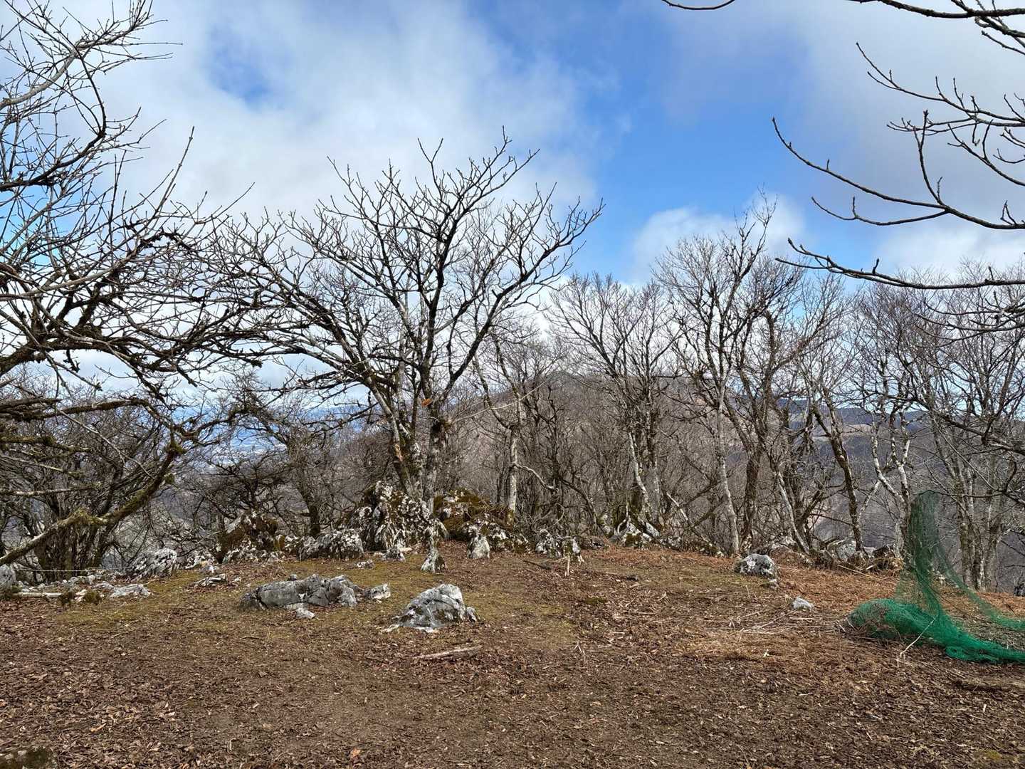 振り返りは霊仙