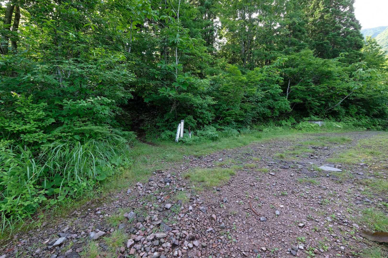 舗装道路を少し歩いて登山口に。
この登山口、なんとなく憶えてます