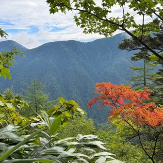 紅葉が始まってる！？