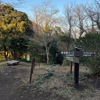 あじさいコースは通行止🚧 逗子駅の方へ下りて行けるみたい。残念…