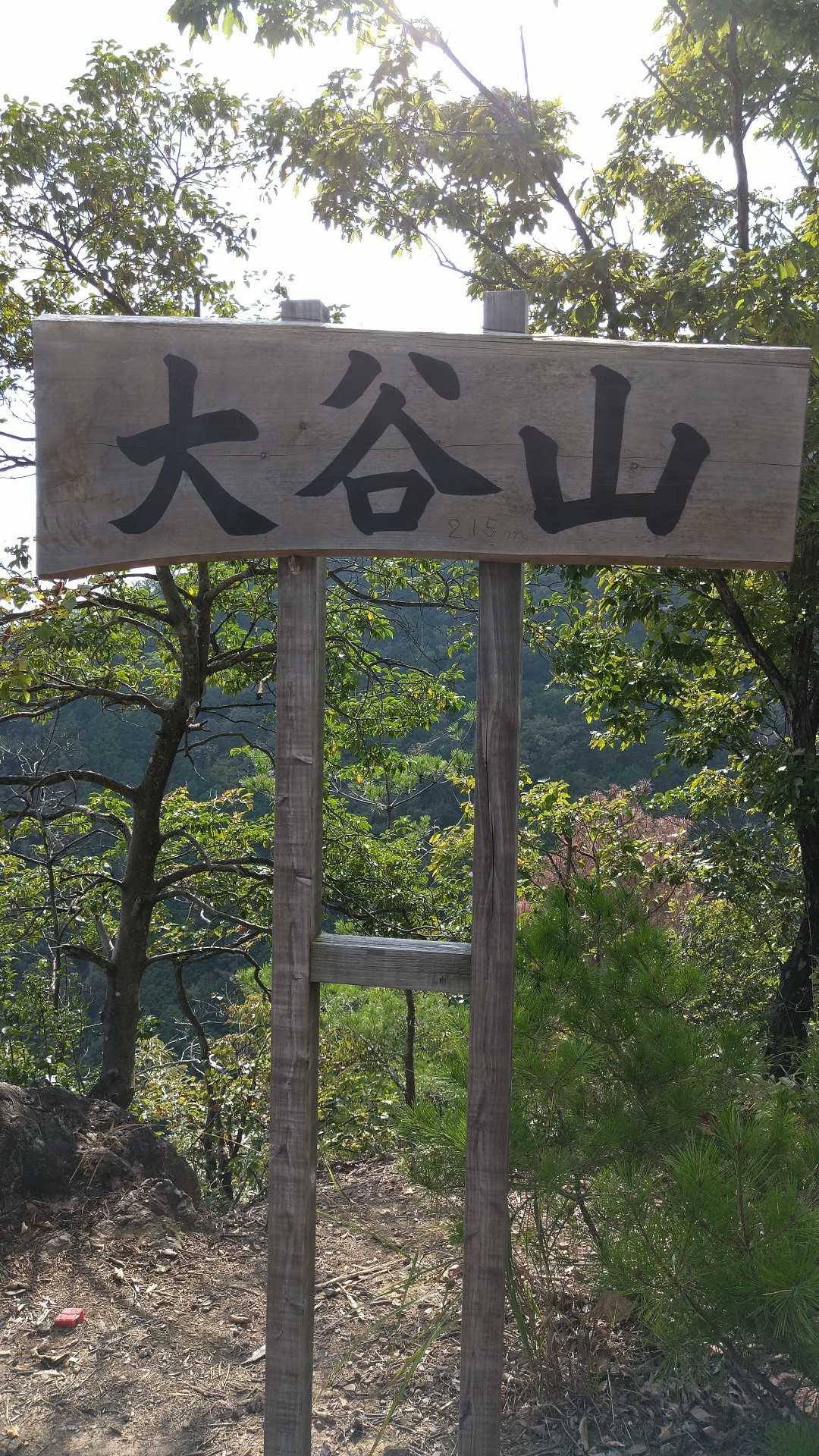 八坂山 周回コースの写真