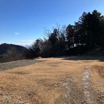 ヘリポートめちゃ日が当たってるのに霜柱が沢山立ってます