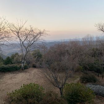 🦉梟ヶ城址展望台から、豊田市街を望む