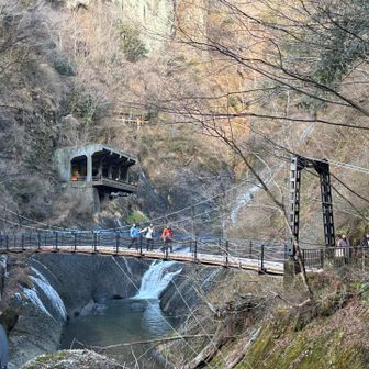 下りてきましたー！
700段くらい！めっちゃキツイ😰