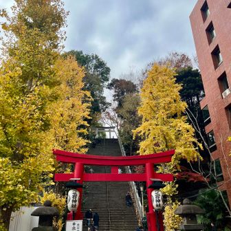 愛宕神社、出世の石段
けっこうな勾配！