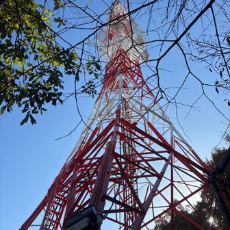 たまに見える光り輝く東京都タワーみたいな建物はこれだったのか
