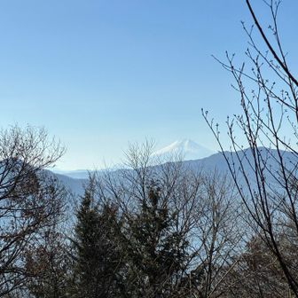 富士山がキレイ