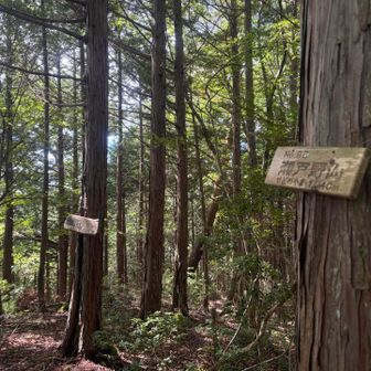 瀬戸野山