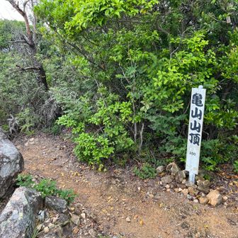 ラストの亀山