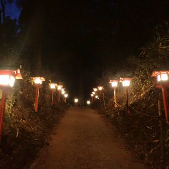 葛木神社表参道
灯籠の明かりが良いですね〜