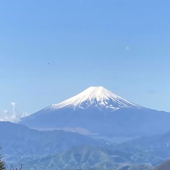 Shohei Matsushima