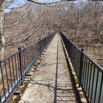 無事に下りてきました