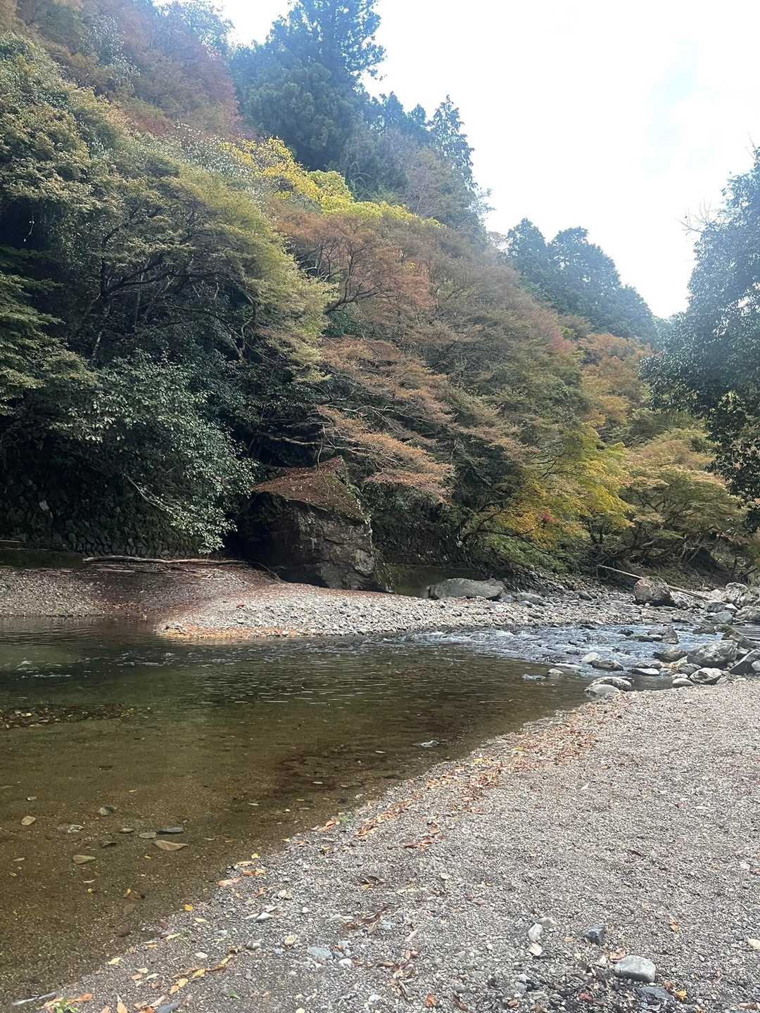 この京都清滝の流れる清流の風を感じながら、せせらぎの音を自然のBGMに♪