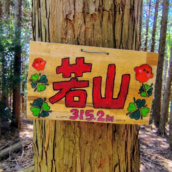若山山頂315M到着⛰️

綺麗な色使いのプレート😊

見晴らしはありません