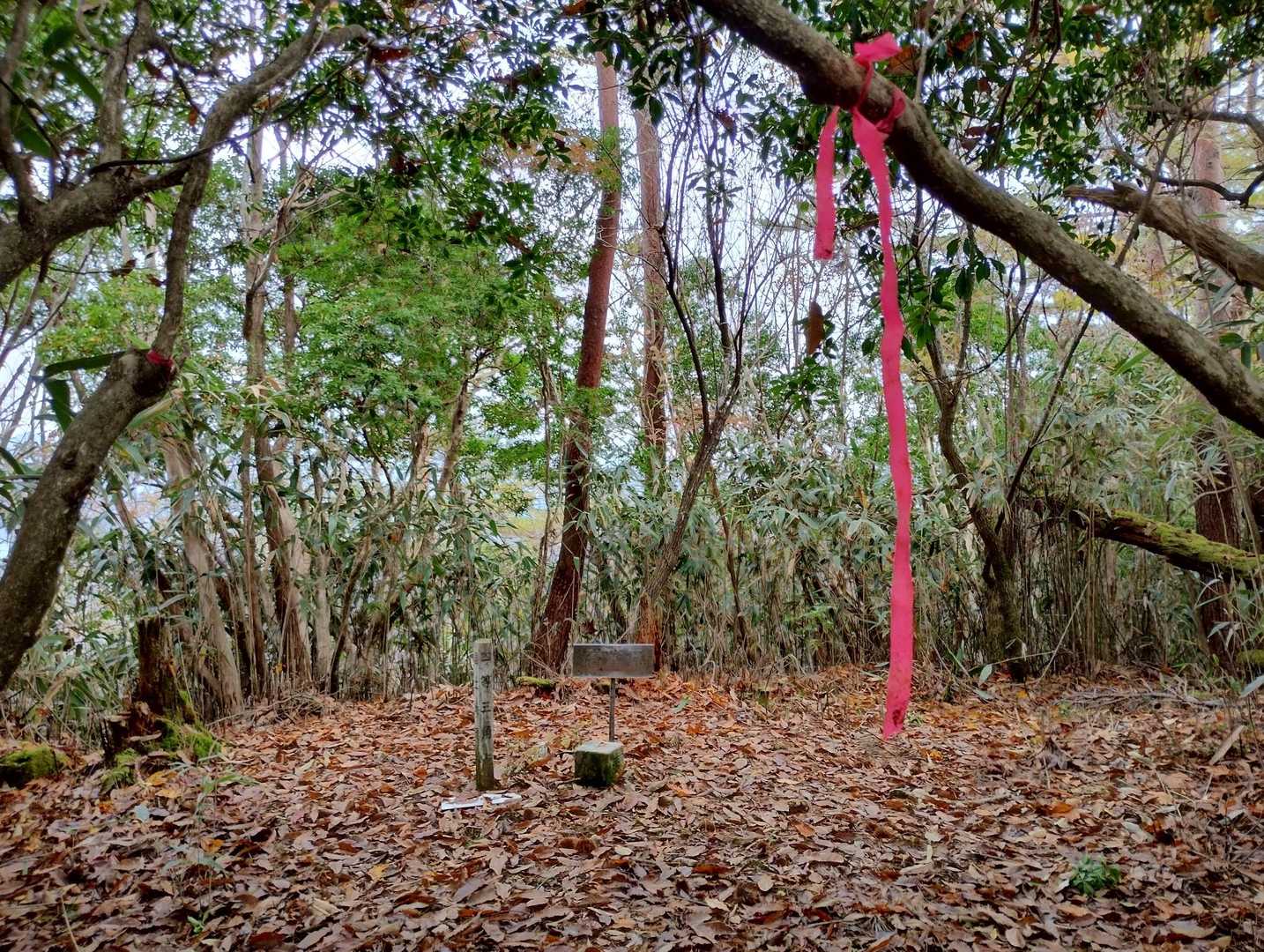 石堂屋⛰️山頂✨
木々に囲まれています🌳🌳🌳