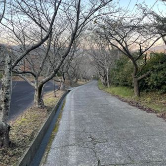 無事、日の入り前に下山できましたー。👏