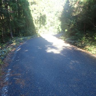 ここからは車道歩き