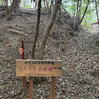 わかれ道に「どうする家康」の看板が😲

家康のお膝元の三河らしい❓
ここは昔山のある左側へ進みます💨