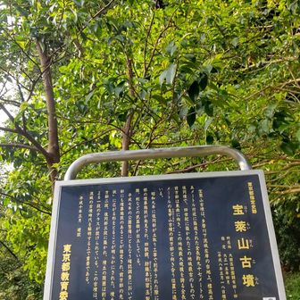 どうやらこの辺一帯は群集墳のようです📝