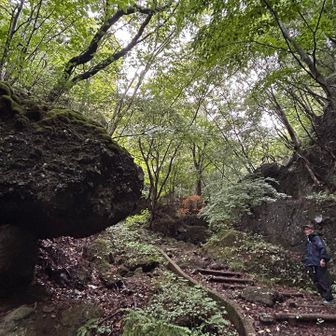 急登のはじまり