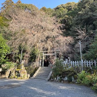 参拝させていただきました✨
ちなみに椿ヶ峰のピークここに来れば100mルールでゲットできます(^^)