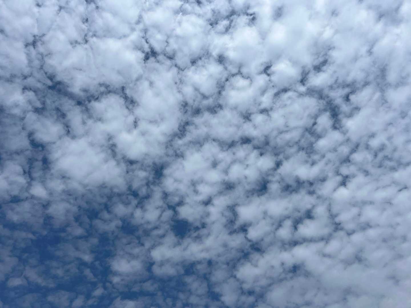 見上げた空は、可愛い☁️🤗